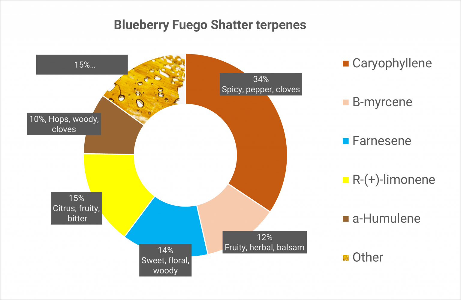 blueberry-fuego-shatter-concentrate-noble-growth-corp