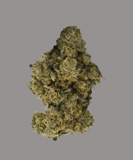 Fine Cookies dried cannabis flower